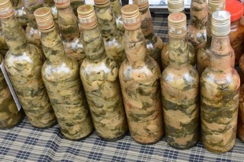 Taiwan 2019-03-16 15.44.22